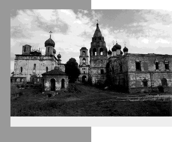 IMAGE seide200206.gif