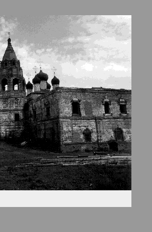 IMAGE seide200207.gif