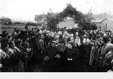 IMAGE seide2002121.gif