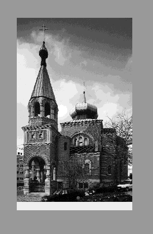 IMAGE seide2002124.gif