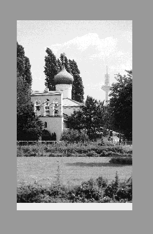 IMAGE seide2002128.gif