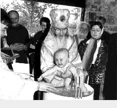 IMAGE seide2002161.gif