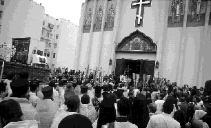 IMAGE seide200225.gif