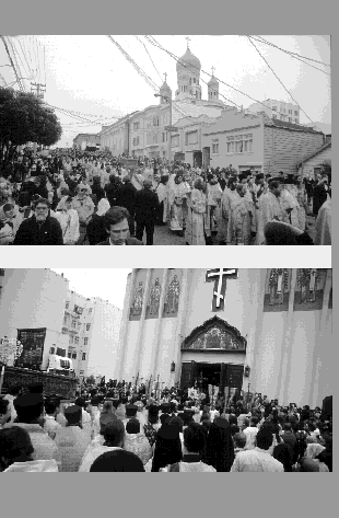 IMAGE seide200226.gif