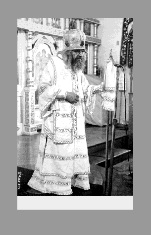 IMAGE seide200227.gif