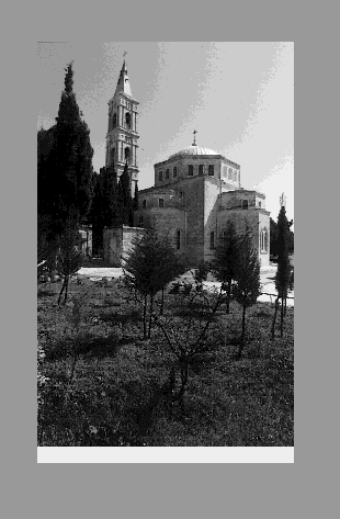 IMAGE seide200241.gif