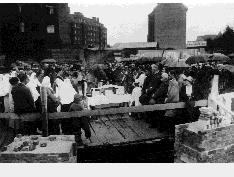 IMAGE seide200264.gif