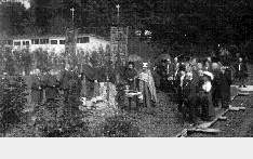 IMAGE seide200291.gif