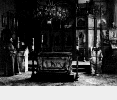 IMAGE seide200295.gif